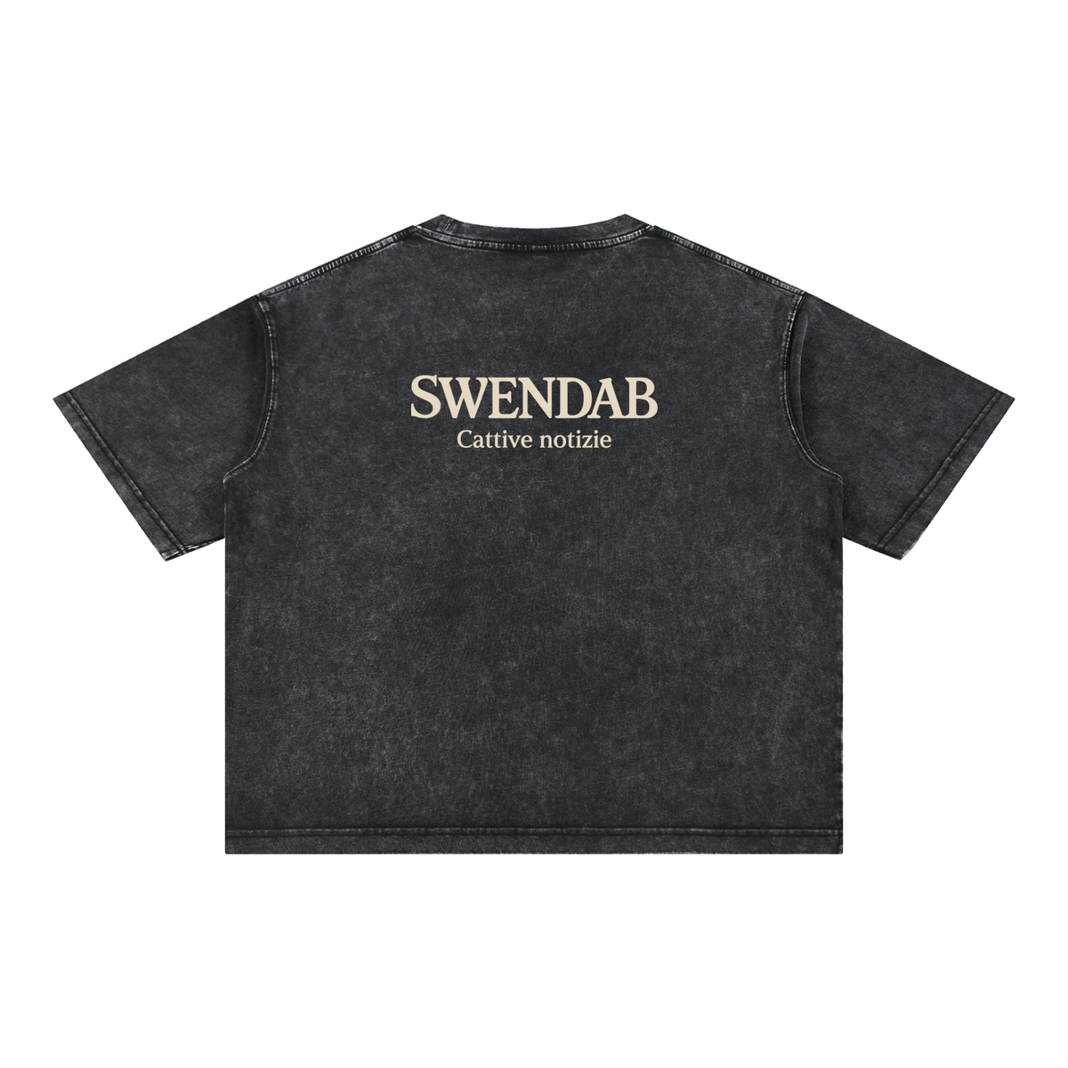 SWENDAB,tee,heavyweight